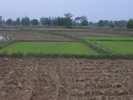 34599RIMG0065.JPG