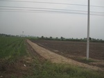28342IMG_5205.JPG