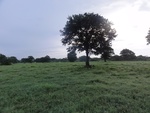 24867DSC01081.JPG