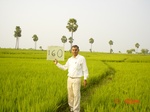11381gt160-cropland-2.jpg