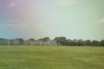2024-06-17_22-14-41_7A2132C2-18BF-42C0-AD74-6794C469AFF1.jpeg
