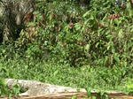 48462CIMG4799.JPG