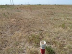 39281PUTN20110726S.JPG