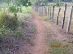 30041IMG_5344.JPG
