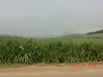 32753CIMG1885.JPG