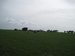 15578IMG_4648.JPG