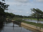 15656IMG_4728.JPG