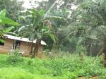 48160CIMG4497.JPG