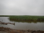 54483DSCN1764.JPG