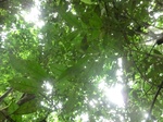 45655CIMG2740.JPG