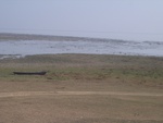 4567RIMG0020-1.JPG