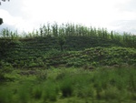 32208Picture 978.jpg