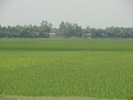 21701DSC00241.JPG