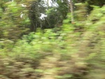 47475CIMG3812.JPG