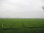 16075IMG_4814.JPG