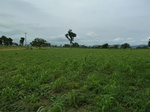 18584P1000421.JPG