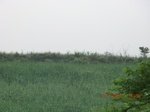 33177CIMG2415.JPG