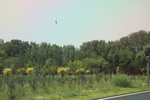 2024-08-05_14-50-03_068D529F-61C2-4995-9D14-CC4894E45961.jpeg