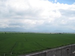 16422IMG_5207.JPG