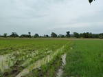 18437P1000273.JPG