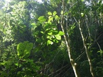 43633pic3.jpg