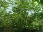 51539P1000709.JPG