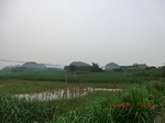 33165CIMG2402.JPG