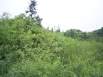 901R0015405.jpg