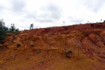 28612P1010629-1.JPG