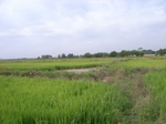 21422RIMG0274.JPG