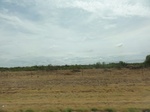 36064DSC02784.JPG