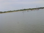 58283CIMG2730.JPG