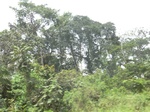 49449CIMG5786.JPG