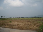 13905IMG_4187.JPG