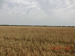 29416CIMG0652.JPG