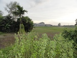 21955DSC00208.JPG