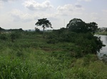 46609CIMG0898.JPG