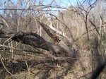 8618IMG_1243.JPG