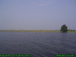 1480R0015189_tag.jpg