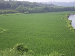 492R0015038.jpg