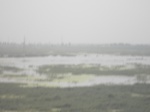54518SAM_0526.JPG