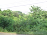 34471IMG_5454.JPG