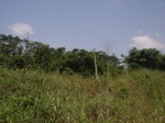 8939RIMG0013.JPG
