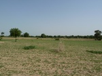 19128P1000973.JPG