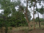 3959RIMG0263.JPG