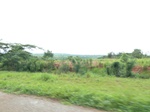 21039P1020910.JPG