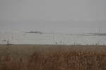 4210IMG_8848.JPG