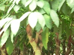 50557CIMG1186.JPG