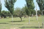 2024-08-05_14-49-59_C9AB810C-A0C1-4DD7-8B12-37F0DAEFDDB4.jpeg