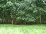 20399P1020256.JPG